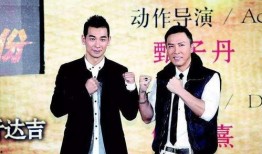 媒体爆料赵文卓视频大全,动作巨星的多面风采