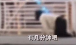 爆料病态事件视频,视频曝光令人震惊的真相